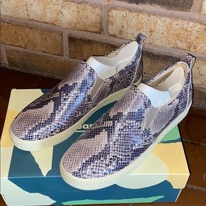 Earth Zen Groove Leather Slip-on Sneakers